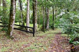 Finca Macadamia: 154-acre Rainforest Paradise with two Houses and Trails!