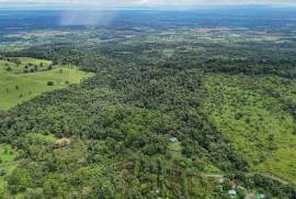 Finca Macadamia: 154-acre Rainforest Paradise with two Houses and Trails!