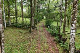 Finca Macadamia: 154-acre Rainforest Paradise with two Houses and Trails!