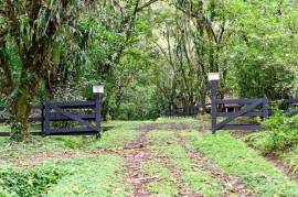 Finca Macadamia: 154-acre Rainforest Paradise with two Houses and Trails!