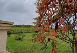 Fantastic Gascon houses close to Marciac