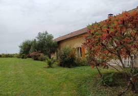 Fantastic Gascon houses close to Marciac