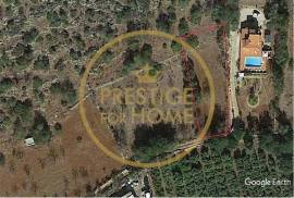Rustic land with 750 m2, facing south, with good sun exposure is flat, the land is fertile, it is walled, the view is unobstructed, the place is quiet, has water, and electricity nearby