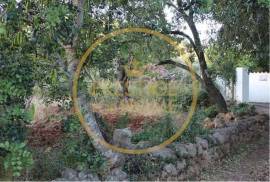 Rustic land with 750 m2, facing south, with good sun exposure is flat, the land is fertile, it is walled, the view is unobstructed, the place is quiet, has water, and electricity nearby