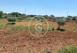 Land Cartaxo