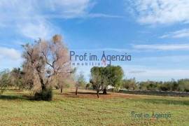 for sale land with olive grove San vito dei Normanni