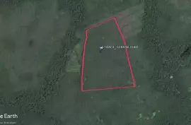 114 acres Belize Farm Land Coastal Plain Highway