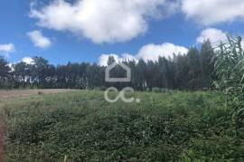 Land with 10140 m2 for housing construction