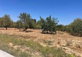 Fantastic Investment Opportunity - Plot to develop a Luxury Hotel and Accommodation, close to the Sea  in Cabanas de Tavira