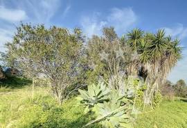 OLHÃO - BUILDING LAND - 2 RUINS