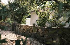 A self-sufficient 1-bedroom house on a property of over 5,000m2 in the heart of the Sintra-Cascais nature reserve