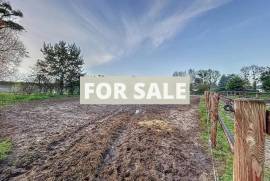 Barns and Land For Sale, Ideal for Horses