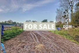 Barns and Land For Sale, Ideal for Horses