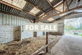 Barns and Land For Sale, Ideal for Horses