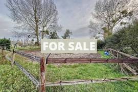 Barns and Land For Sale, Ideal for Horses