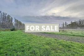 Barns and Land For Sale, Ideal for Horses