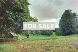 Detached Country House with Outbuilding