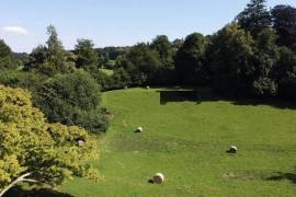 Detached Country House with Outbuilding