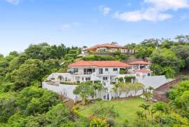 Casa Feliz, Pacific Heights: Only minutes to the Beach with Spectacular Ocean and Valley Views!