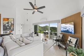 Casa Feliz, Pacific Heights: Only minutes to the Beach with Spectacular Ocean and Valley Views!