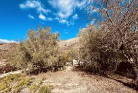 Traditional country house with swimming pool in Hondon de las Nieves