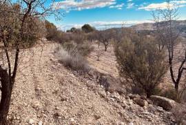 Traditional country house with swimming pool in Hondon de las Nieves