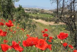 Excellent Plot of Land for Sale in Analyontas Nicosia