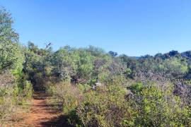 Land with 2ha in Salir - Loulé