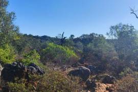 Land with 2ha in Salir - Loulé