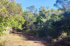 Land with 2ha in Salir - Loulé