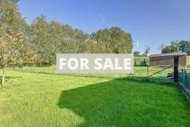 Detached House with Garden