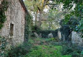 - Property - Aquitaine - For Sale - 11528-EY