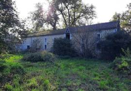 - Property - Aquitaine - For Sale - 11528-EY