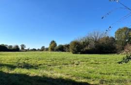 €127500 - Large Old House For Sale Near Nanteuil-en-Vallee On Nearly 2 Acres