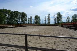 €557800 - Beautiful Equestrian Property with 18 Hectares of land and a lake