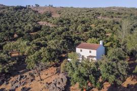 A Zen rustic little house within São Mamede’s Natural Park