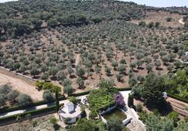 21,53 hectares of Royal lands with a traditional house