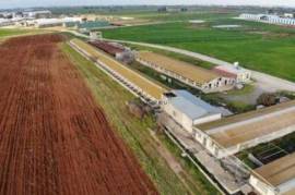 Pig Farm for Sale in Ormideia Village, Larnaca