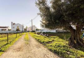 Farmhouse Évora Canaviais