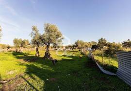 Farmhouse Évora Canaviais