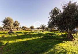 Farmhouse Évora Canaviais