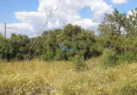 ALGARVE - S. B. Messines - Mixed land for sale, with approved project for a 400 m2 villa, in Calvos