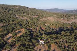 A Zen rustic little house within São Mamede’s Natural Park