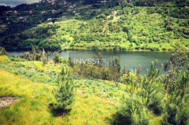 Unique Land in the Douro with Approved Project for 5 Star Rural Hotel