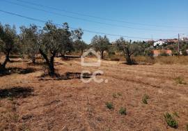 Land with 1100m2 in Atouguia