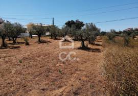 Land with 1100m2 in Atouguia