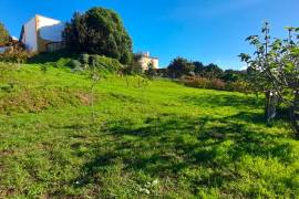 Farm with rustic 4-bedroom house, annex and land - a few minutes from Obidos