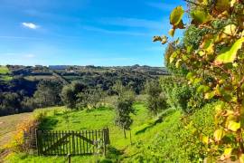 Farm with rustic 4-bedroom house, annex and land - a few minutes from Obidos