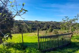 Farm with rustic 4-bedroom house, annex and land - a few minutes from Obidos