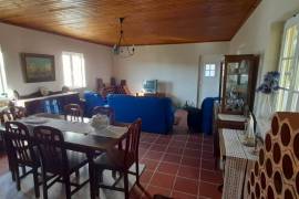 Farm with rustic 4-bedroom house, annex and land - a few minutes from Obidos